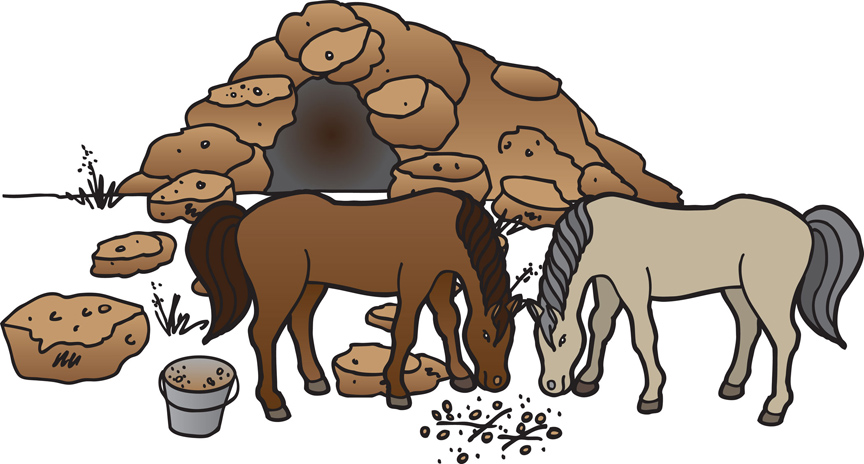 childrens book color illustration 3